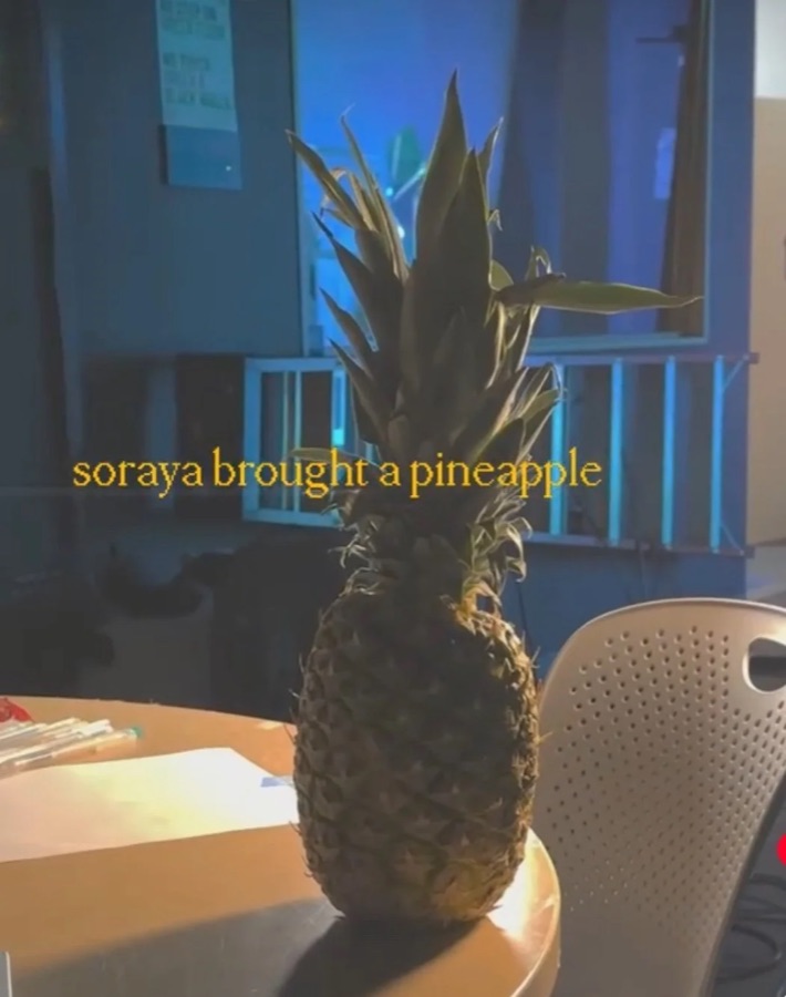 Soraya with a pineapple